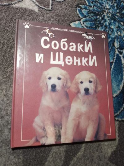 Лот: 22347090. Фото: 1. Домашние любимцы Кэтрин Старк... Домашние животные