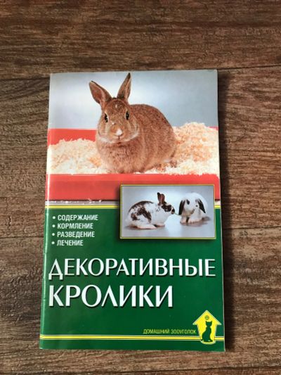 Лот: 17302806. Фото: 1. Декоративные кролики. Другое (литература, книги)