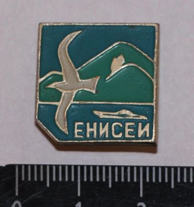 Лот: 11123006. Фото: 1. Значок: Енисей. Чайка. КФС Красноярская... Сувенирные
