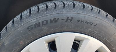 Лот: 22347094. Фото: 1. Шины зимние Dynamo SNOW-H MWH03... Шины