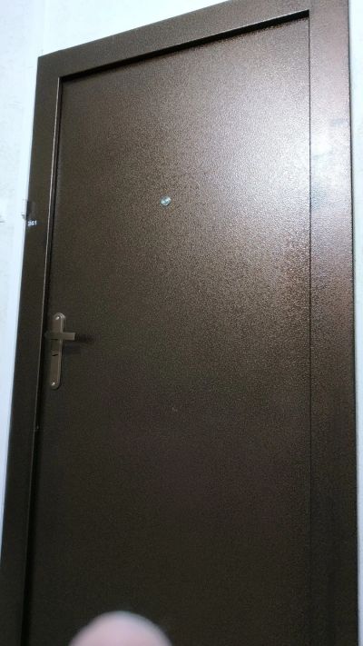 Лот: 17017875. Фото: 1. Дверь входная от застройщика. Двери входные