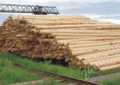 Лот: 376935. Фото: 1. Лиственные опоры (цена снижена... Древесина, пиломатериал