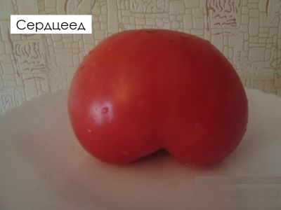Лот: 7076911. Фото: 1. Томаты (помидоры), семена домашние... Овощи