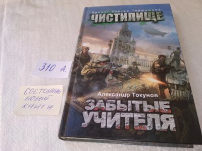 Лот: 18923544. Фото: 1. Токунов А. Чистилище . Забытые... Художественная