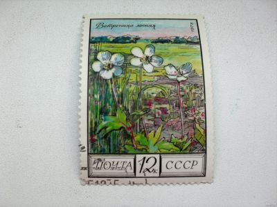 Лот: 13264145. Фото: 1. Марка 12к 1975 год СССР Ветреница... Марки