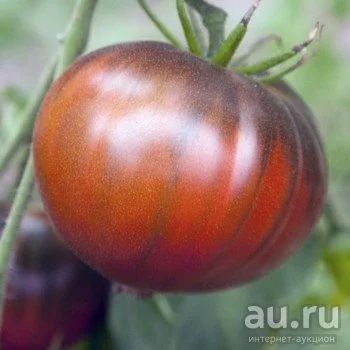 Лот: 15196782. Фото: 1. Томаты (помидоры), семена Сорт... Овощи