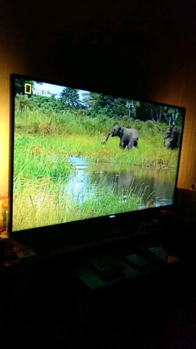 Лот: 12732744. Фото: 1. Телевизор Philips 42'' Smart TV... Телевизоры