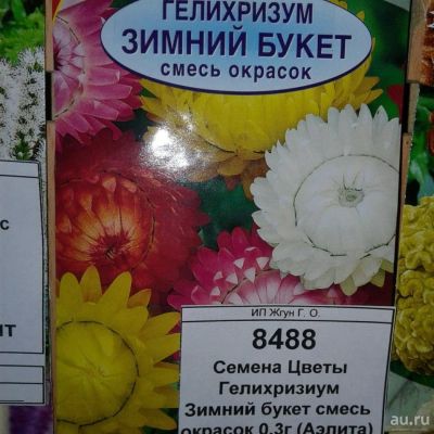 Лот: 9118703. Фото: 1. Семена / Цветы / Гелихризиум... Садовые цветы