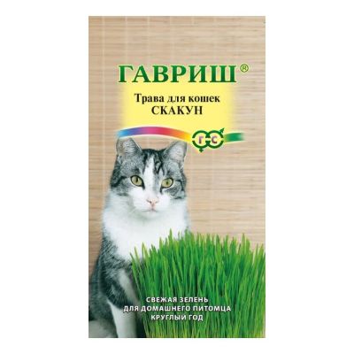 Лот: 24642515. Фото: 1. Семена Трава для кошек, Скакун... Другое (семена, рассада, садовые растения)