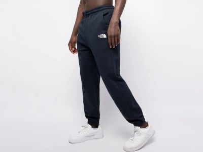 Лот: 24977065. Фото: 1. Брюки спортивные The North Face. Брюки, джинсы, шорты