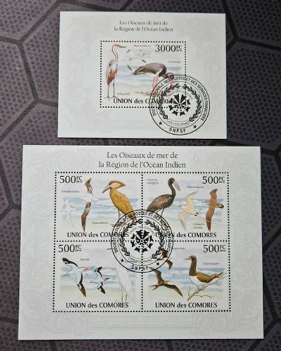 Лот: 25741826. Фото: 1. Марки: Коморы. 2010. Птицы (2ПБ... Марки