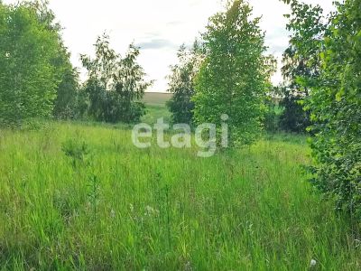 Лот: 25298994. Фото: 1. участок , деревня Ясная Поляна... Земельные участки