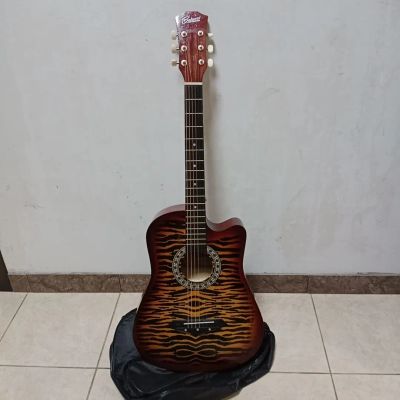 Лот: 21542496. Фото: 1. Гитара Belucci BC-3840 в чехле... Гитары