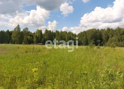 Лот: 25295845. Фото: 1. участок , ДНТ Изумрудный Луг Весенняя... Земельные участки