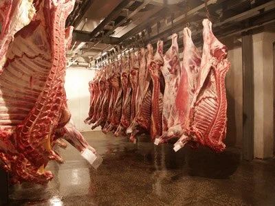 Лот: 4476995. Фото: 1. Продам канал по поставке говядины... Другое (готовый бизнес)