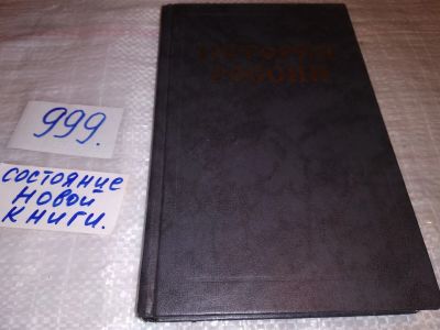 Лот: 15343236. Фото: 1. ред. Личман Б.В., История России... История