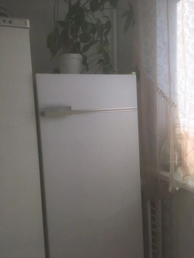 Лот: 10120403. Фото: 1. Холодильник бирюса. Холодильники, морозильные камеры