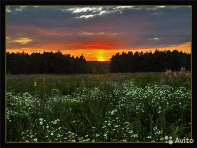 Лот: 6319383. Фото: 1. продам участки. НОВЫЙ поселок... Земельные участки