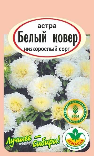 Лот: 12839983. Фото: 1. Семена астры низкорослой "Белый... Садовые цветы