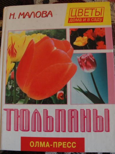 Лот: 4380552. Фото: 1. Н. Малова "Тюльпаны". Сад, огород, цветы