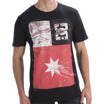 Лот: 7087275. Фото: 1. Футболка DC shoes rode в наличии... Футболки, поло
