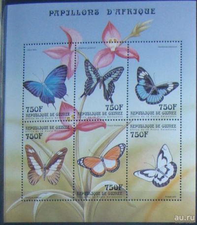 Лот: 10456524. Фото: 1. Гвинея 1999 мл MNH. Марки