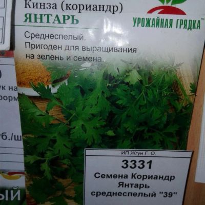 Лот: 9122984. Фото: 1. Семена / Кориандр / Кинза / Янтарь... Овощи
