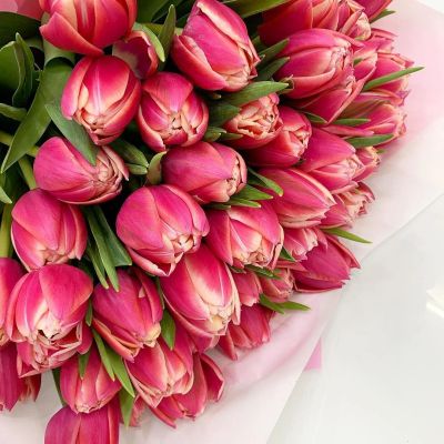 Лот: 15585125. Фото: 1. Тюльпаны Пиони-Коламбус / из Голландии... Свежие цветы