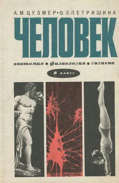 Лот: 22845735. Фото: 1. Цузмер Анна, Петришина Оксана... Для школы