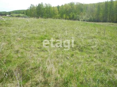 Лот: 25294350. Фото: 1. участок , село Крутая Горка село... Земельные участки