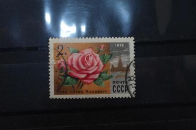 Лот: 3992008. Фото: 1. марки СССР 16 Роза "Утро Москвы... Марки