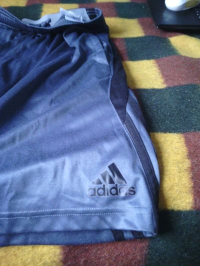 Лот: 5444252. Фото: 1. Шорты adidas. Брюки, джинсы, шорты
