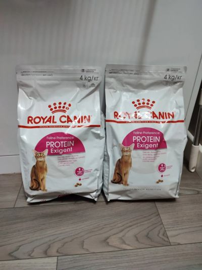 Лот: 20725356. Фото: 1. Корм для кошек Royal Canin Protein... Корма