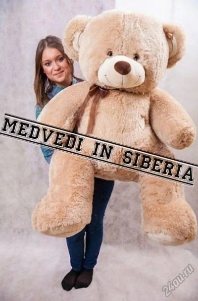 Лот: 5765147. Фото: 1. Большой плюшевый мишка, медведь... Мягкие