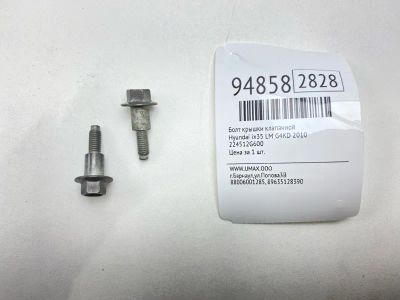 Лот: 24774295. Фото: 1. Болт крышки клапанной Hyundai... Двигатель и элементы двигателя