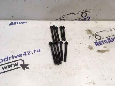 Лот: 21712724. Фото: 1. болты ГБЦ Renault Symbol LB. Двигатель и элементы двигателя