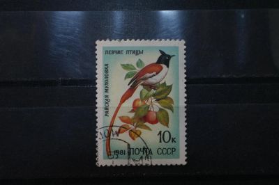 Лот: 3992130. Фото: 1. марки СССР 31 певчие птицы - Райская... Марки