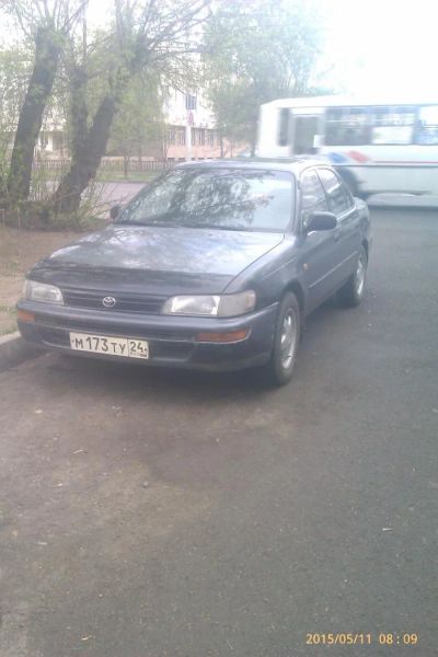 Лот: 5522295. Фото: 1. Toyota Corolla. Автомобили