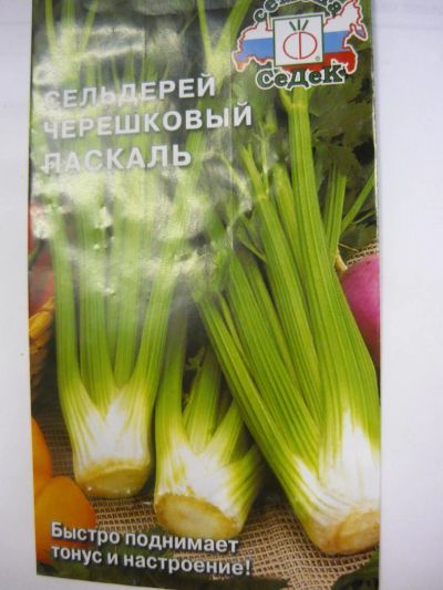 Лот: 4421326. Фото: 1. сельдерей черешковый. Другое (семена, рассада, садовые растения)