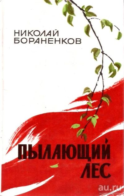 Лот: 15902992. Фото: 1. Бораненков Николай - Пылающий... Художественная