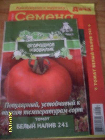 Лот: 6440417. Фото: 1. семена томат "белый налив". Другое (семена, рассада, садовые растения)