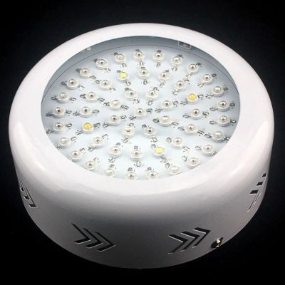 Лот: 6569438. Фото: 1. LED 150W grow светильник Flora... Другое (комнатные растения и уход)