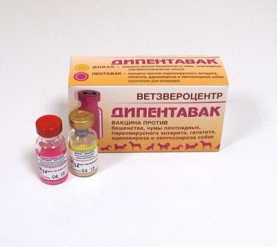 Лот: 16068802. Фото: 1. Вакцина для собак Дипентавак. Косметика для животных