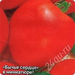 Лот: 2727535. Фото: 1. Продам рассаду Томат Бычье Сердце... Другое (семена, рассада, садовые растения)