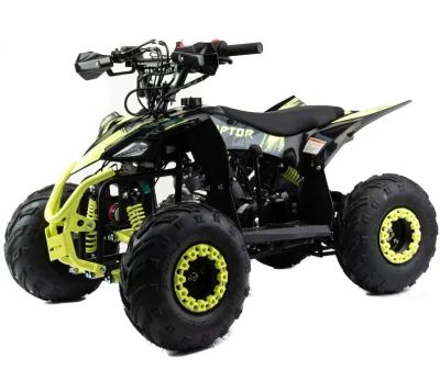 Лот: 25659202. Фото: 1. Квадроцикл MOTOLAND Raptor 110. Снегоходы, квадроциклы