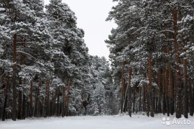 Лот: 5284272. Фото: 1. Участки под застройку Есаульский... Земельные участки