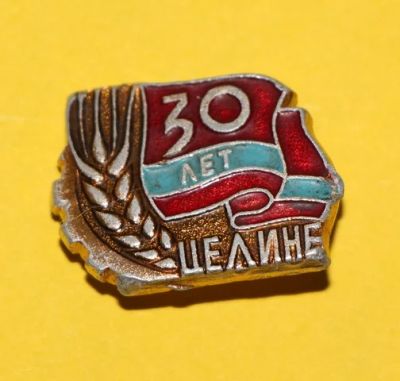 Лот: 7509609. Фото: 1. Знак 30 лет Целине. (Пл. СССР... Юбилейные