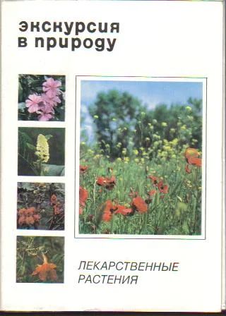 Лот: 6450715. Фото: 1. набор открыток Лекарственные растения... Популярная и народная медицина