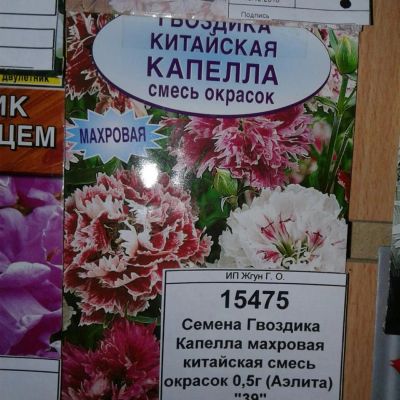 Лот: 9118433. Фото: 1. Семена / цветы / Гвоздика Капелла... Садовые цветы