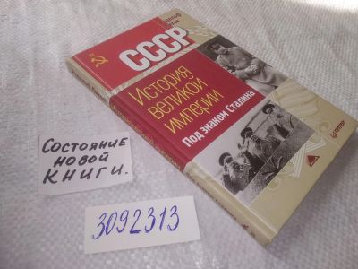 Лот: 23537532. Фото: 1. oz (3092313) Пихоя Р.Г. СССР... История